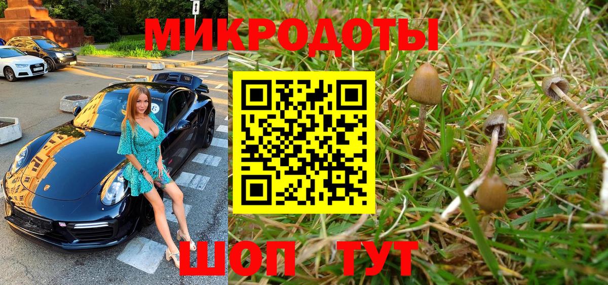 Галлюциногенные грибы GOLDEN TEACHER Наро-Фоминск